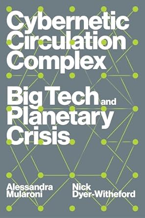 cybernetic circulation complex big tech and planetary crisis 1st edition nick dyer witheford ,alessandra