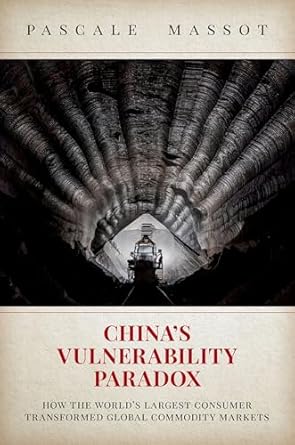 chinas vulnerability paradox how the worlds largest consumer transformed global commodity markets 1st edition