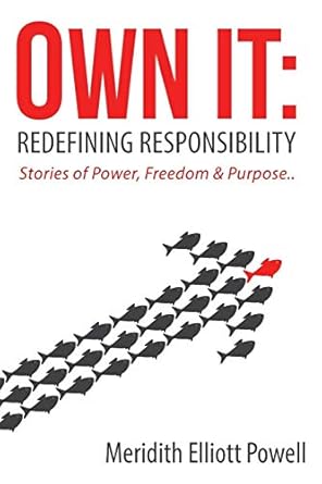 own it redefining responsibility 1st edition meridith elliott powell 1628652721, 978-1628652727