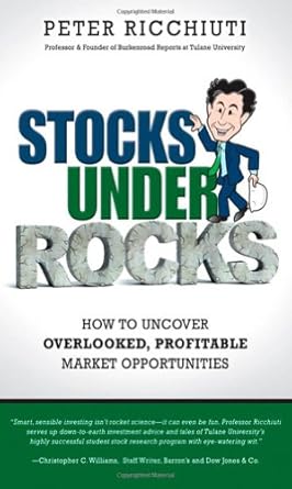stocks under rocks how to uncover overlooked profitable market opportunities 1st edition peter ricchiuti