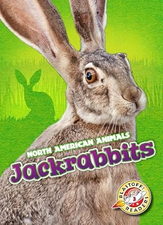 jackrabbits 1st edition christina leaf 162617539x, 978-1626175396