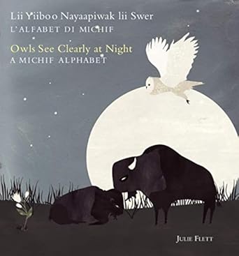 owls see clearly at night/lii yiiboo nayaapiwak lii swer a michif alphabet/lalfabet di michif 1st edition