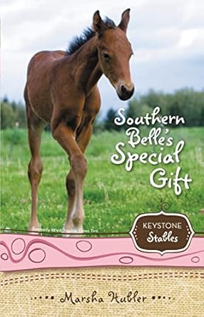 southern belles special gift 1st edition marsha hubler 0310717949, 978-0310717942