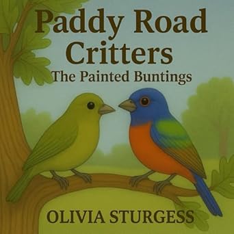 paddy road critters the painted buntings 1st edition olivia sturgess 1967791147, 978-1967791149
