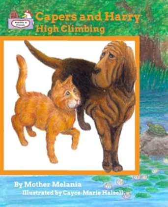 capers and harry high climbing teaching values to children in a fun way 1st edition mother melania salem