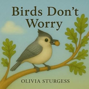 birds dont worry 1st edition olivia sturgess 1967791430, 978-1967791439