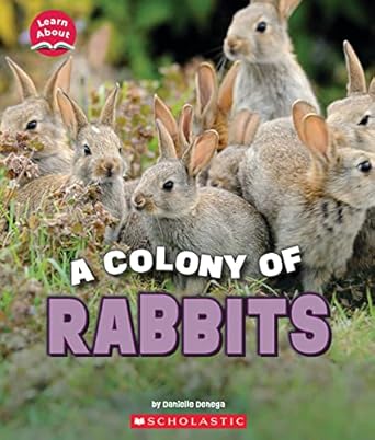 a colony of rabbits 1st edition danielle denega 1338853384, 978-1338853384