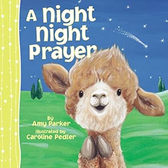 a night night prayer 1st edition amy parker ,caroline pedler 1400324319, 978-1400324316