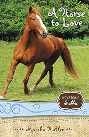 a horse to love 1st edition marsha hubler 0310717922, 978-0310717928