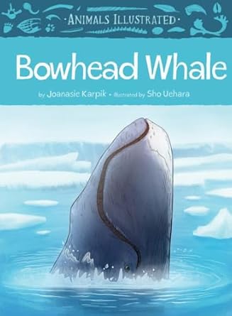 animals illustrated bowhead whale 1st edition joanasie karpik ,sho uehara 1772271624, 978-1772271621