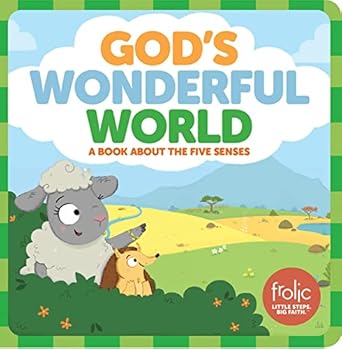 gods wonderful world a book about the five senses 1st edition jennifer hilton ,kristen mccurry 1506410472,