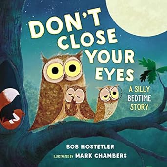 dont close your eyes a silly bedtime story 1st edition bob hostetler ,mark chambers 140020951x, 978-1400209514