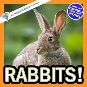 rabbits a my incredible world picture book for children 1st edition my incredible world ,hope aicher