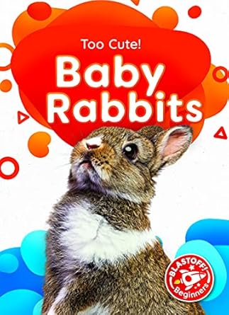 baby rabbits 1st edition christina leaf 1648344712, 978-1648344718