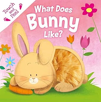 what does bunny like touch and feel board book 1st edition igloobooks ,gabriel cortina 1838527842,