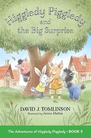 higgledy piggledy and the big surprise the adventures of higgledy piggledy book 3 1st edition david j