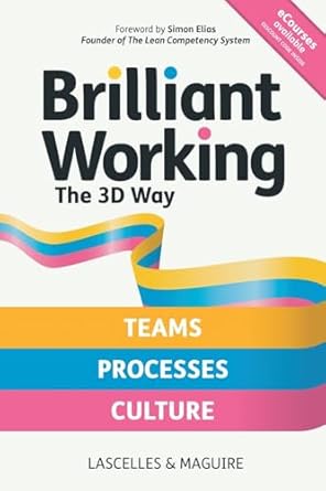 brilliant working the 3d way continuous improvement for working teams processes and culture 1st edition james
