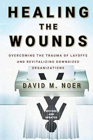 healing the wounds 1st edition david m noer 0470500158, 978-0470500156
