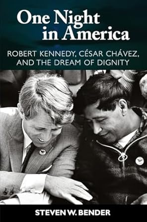 one night in america 1st edition steven w bender 1594514291, 978-1594514296