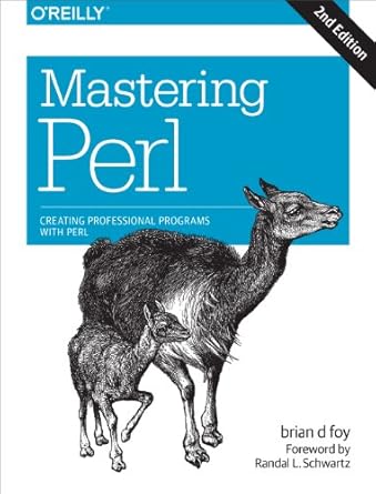 mastering perl creating professional programs with perl 1st edition brian d foy 144939311x, 978-1449393113