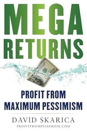 mega returns profit from maximum pessimism 1st edition david skarica 1630062723, 978-1630062729