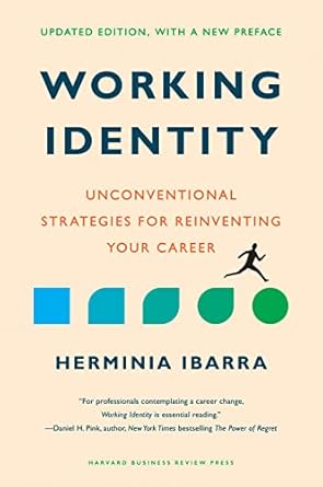 working identity   with a new preface unconventional strategies for reinventing your career 1st edition
