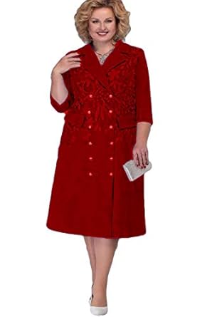 chek republic a revolution in local television 1st edition diane dakers 1927527996, 978-1927527993