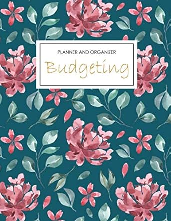 budgeting planner and organizer daily weekly and monthly budgeting planner / expense tracker / personal