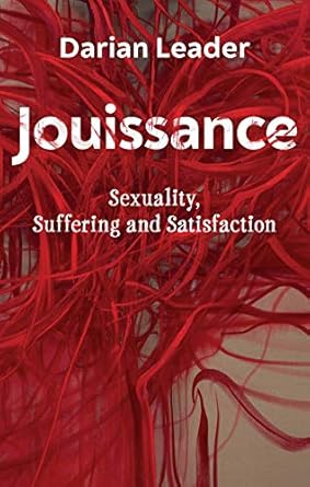 jouissance sexuality suffering and satisfaction 1st edition darian leader 150954884x, 978-1509548842