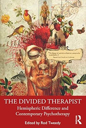 the divided therapist 1st edition rod tweedy 0367504421, 978-0367504427