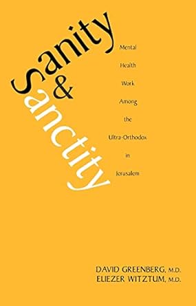 sanity and sanctity mental health work among the ultra orthodox in jerusalem 1st edition david greenberg