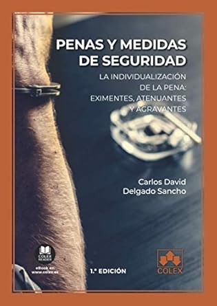 penas y medidas de seguridad la individualizacion de la pena eximentes atenuantes y agravantes 1st edition