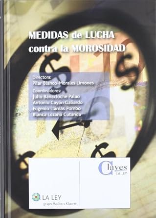 medidas de lucha contra la morosidad 1st edition pilar blanco morales limones ,julio banacloche palao