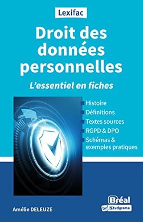 droit des donnees personnelles lessentiel en fiches 1st edition amelie deleuze 2749555329, 978-2749555324