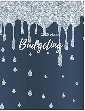 2020 budgeting planner monthly planner 2020 monthly financial budget planner bill organizer notebook weekly