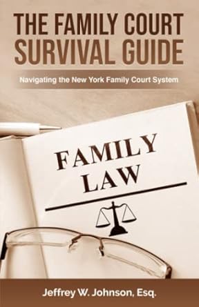 the family court survival guide navigating the new york family court system 1st edition jeffrey w johnson