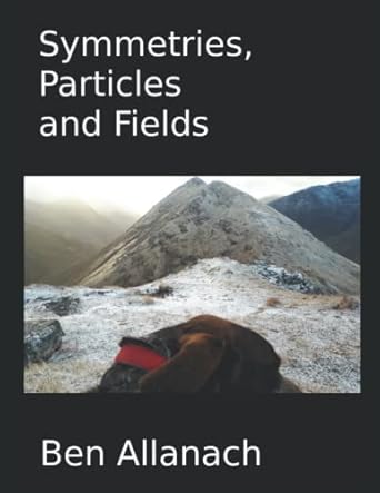 symmetries particles and fields 1st edition prof ben allanach 1739940695, 978-1739940690
