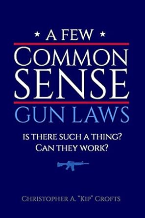 A Few Commonsense Gun Laws Is There Such A Thing Can They Work