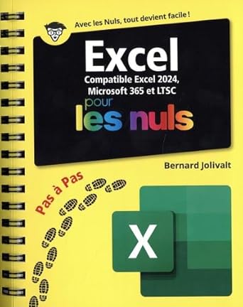 excel 2024 pas a pas pour les nuls 1st edition jolivalt bernard 2412099804, 978-2412099803