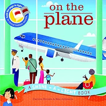 shine a light on the plane a shine a light book 1st edition carron brown ,bee johnson 1782404783,