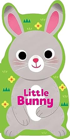little bunny 1st edition maggie fischer ,yi hsuan wu 1667206117, 978-1667206110