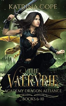 the valkyrie academy dragon alliance books 6 10 omnibus of ambushed warned abducted besieged and deceived 1st