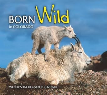born wild in colorado 1st edition photography by bob rozinski 1560374128, 978-1560374121