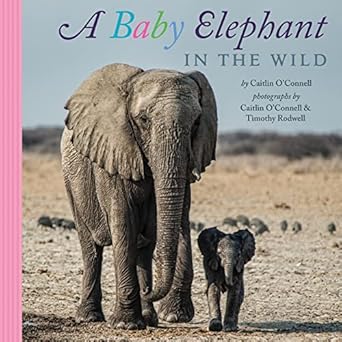 a baby elephant in the wild 1st edition caitlin o'connell ,timothy rodwell 0544149440, 978-0544149441