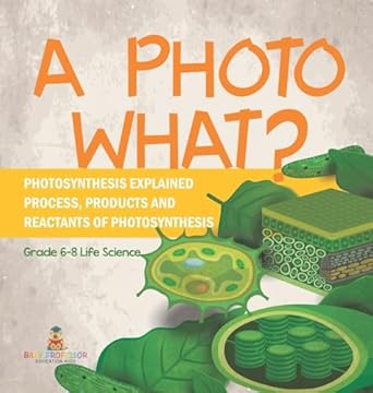 a photo what photosynthesis explained process products and reactants of photosynthesis grade 6 8 life science