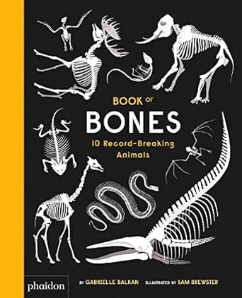book of bones 1st edition gabrielle balkan ,sam brewster 0714875112, 978-0714875118