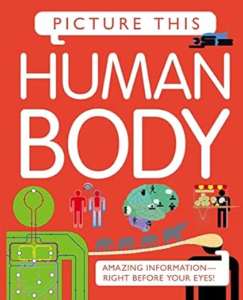 picture this human body amazing information right before your eyes 1st edition margaret hynes 0753468883,