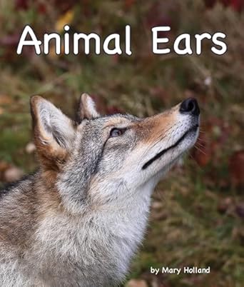 animal ears 1st edition mary holland 1607184524, 978-1607184522