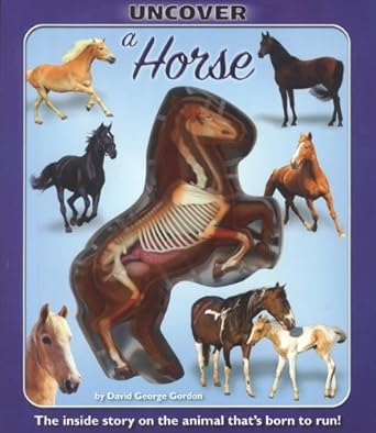 uncover a horse 1st edition david george gordon 1592238866, 978-1592238866