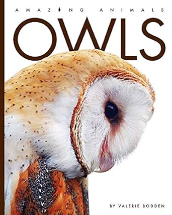 owls 1st edition valerie bodden 1628329181, 978-1628329186